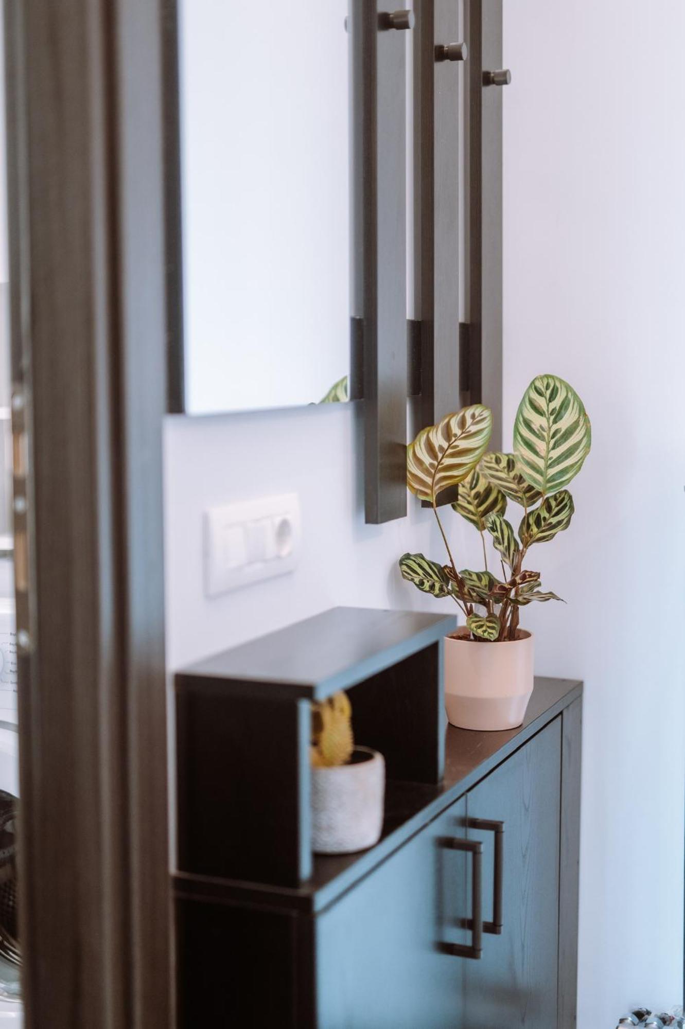 Louisa Luxury Apartments Preweza Zewnętrze zdjęcie